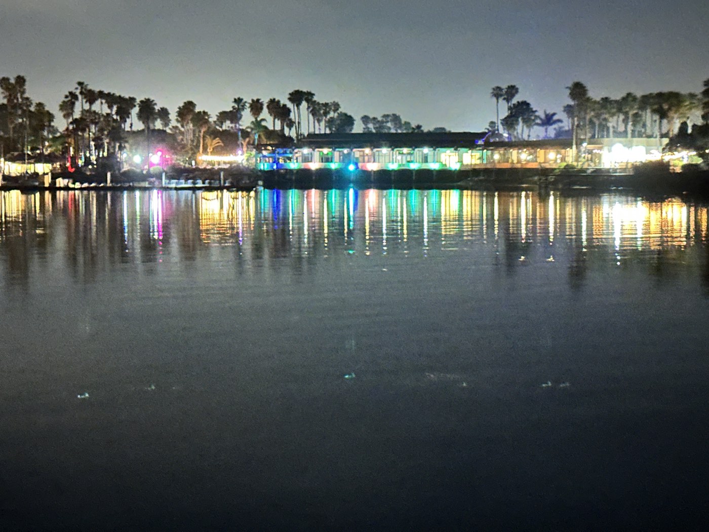 Shoreline lights along Mission Bay at night, seen from the boat