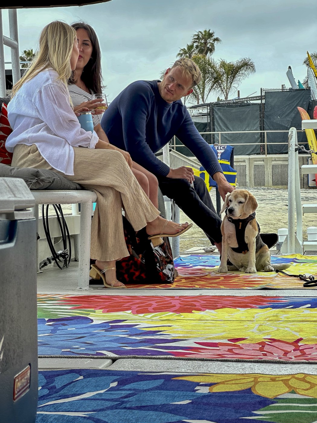 A dog sitting on the colourful deck rug of the Marissa, guests behind